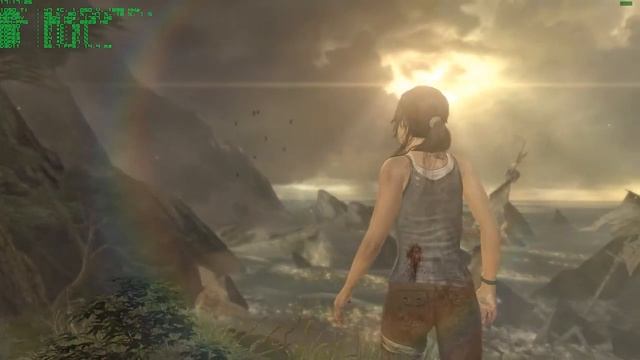 Tomb Raider PC Benchmark - Core 2 Quad Q9650 @ 3.73 - GTX 1050 TI STRIX - Extreme Preset Full HD смотреть онлайн
