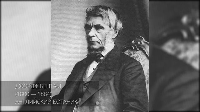 ТЕОРИЯ ЧИСЕЛ И МАТЛОГИКА В 19 ВЕКЕ. РАЗВИТИЕ. | История математики смотреть онлайн