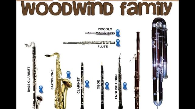 Orchestra Instrument Families