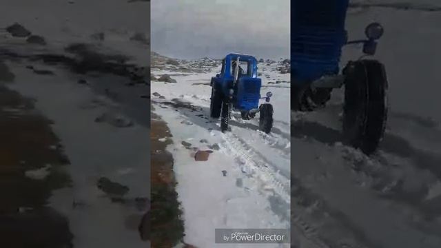 Трактор Мтз 80 проходит глубокий снег смотреть онлайн