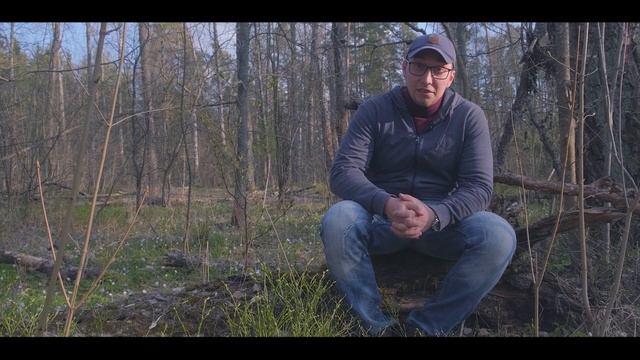 Урок экскурсия | Памятник природы Красный Бор Смоленск | ООПТ России | Экология смотреть онлайн