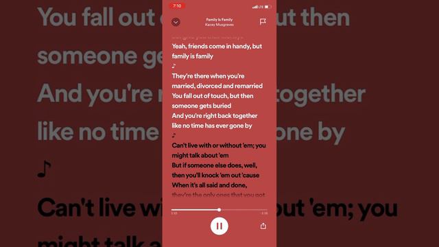 Family Is Family -Kacey Musgraves Lyrics #kaceymusgraves