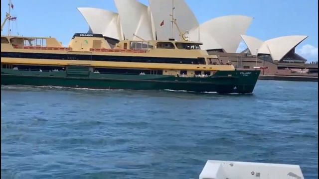 CИДНЕЙ КРАСОТА ГОРОДА (SYDNEY THE BEAUTY OF THE CITY) смотреть онлайн