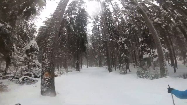 Лыжи на базе Прибой смотреть онлайн