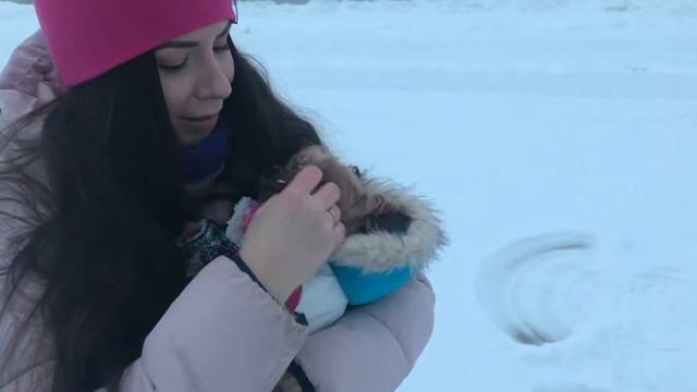 ESTONIA VLOG# Meresuu Spa отель. Отдых. Зимушка. смотреть онлайн