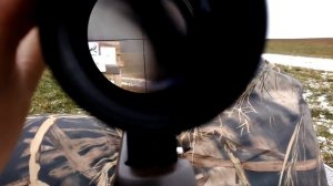 11# Kral puncher maksi-3 и Егерь от РОК, 50 и 100 метров.