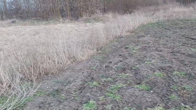 561.Весенняя работа как всегда началась с прополки. смотреть онлайн