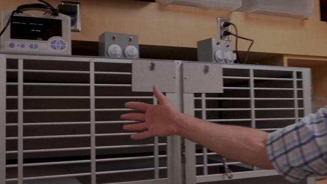 Virtual tour of the Small Animal Community Practice at Cornell Vet смотреть онлайн