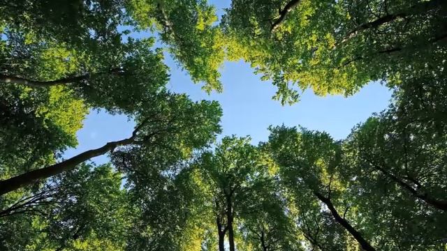 Ты только будь пожалуйста со мною Товарищ Правда смотреть онлайн