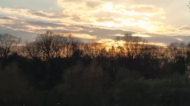 VLOG Выгуливаю тунику Ивушка и Лешика Самые лучшие подписчики