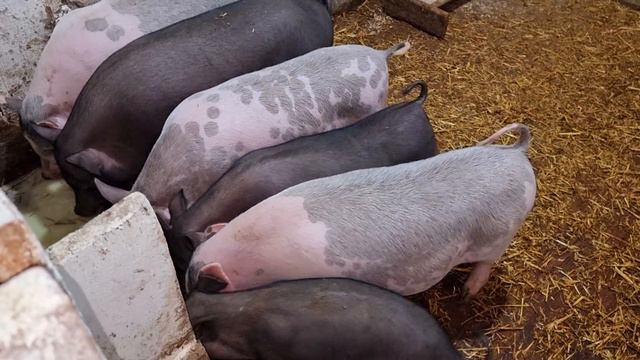 20 октября 2021 г. смотреть онлайн