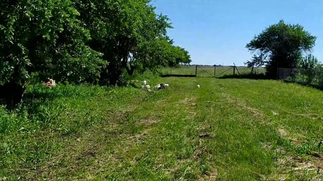 Новополянье! Наконец-то весь пластик сдал!!! смотреть онлайн