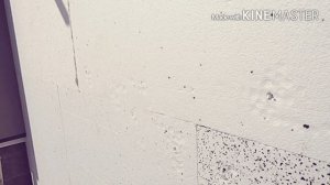 Как крепить пенопласт к стене?