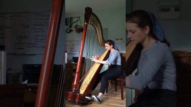 "Duke" Bernard Andres смотреть онлайн