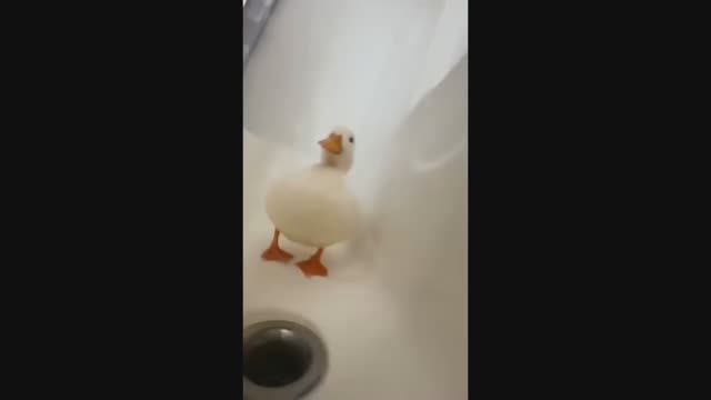 Подборка мемов и приколов #112 смотреть онлайн