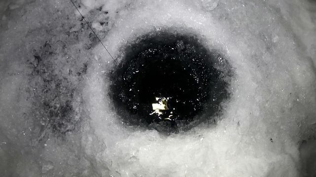 НОВОГОДНИЙ ТРОФЕЙ / NEW YEAR'S TROPHY смотреть онлайн