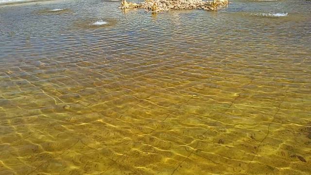 Петергоф парк фонтаны