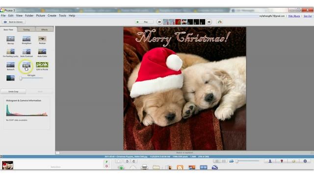 Picasa Tips on Editing a Picture смотреть онлайн