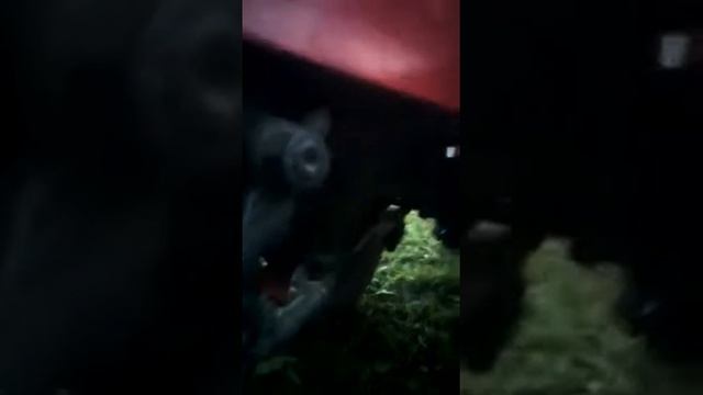 Обзор минитрактор из мотоблока МТЗ. смотреть онлайн