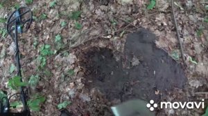 поиск на мусоре,глубинный поиск(интроник)