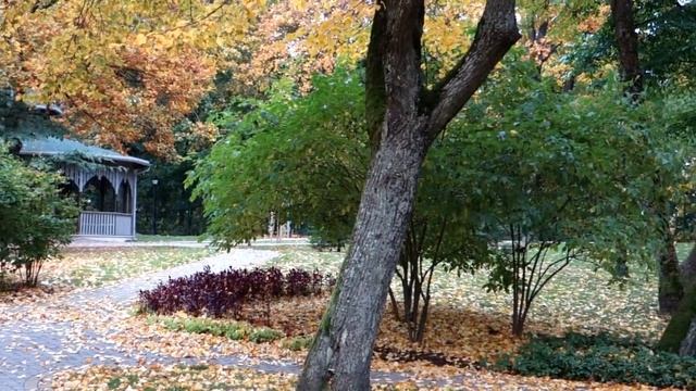 Рига / Осень / Листопад / Парк Зиемельблазма / Autumn in Riga смотреть онлайн