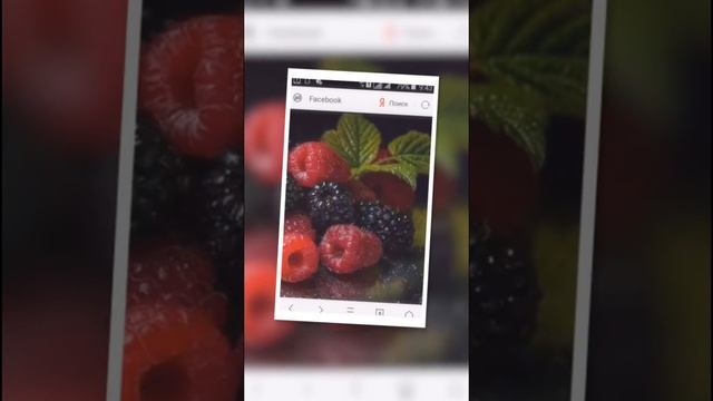 Дача 2017 год смотреть онлайн