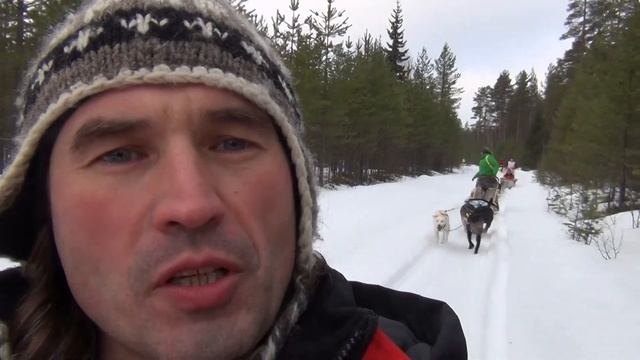 05 Бег Хаски Лиекса смотреть онлайн