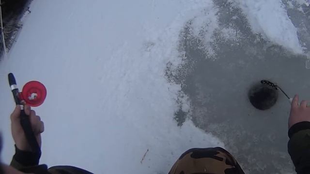 рабочий балансир зимняя рыбалка окунь Поляковское озеро Лужский район Андреевич у руля смотреть онлайн