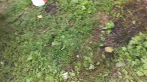 Замена масла в Деу Матиз, с помощью китайской помпы для откачки технических жидкостей.