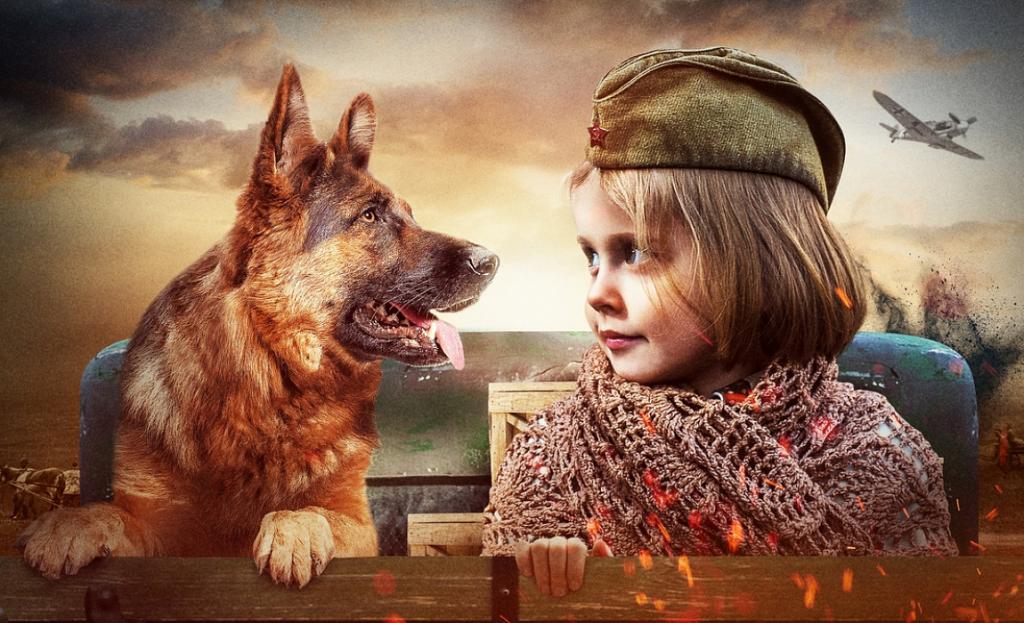 Джульбарс - Русский трейлер (HD)