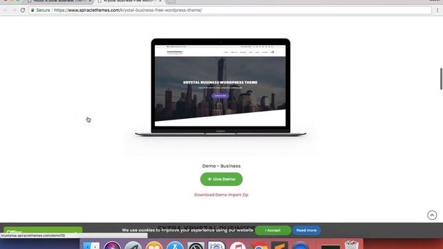 How to use 1 Click Demo Import in Krystal Business WordPress theme смотреть онлайн