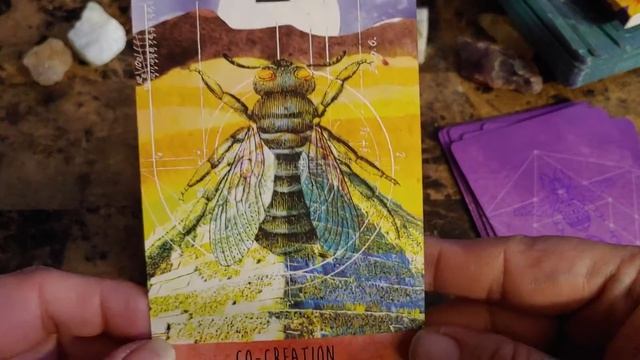 OMG IT IS FINALLY HERE! WALKTHROUGH OF THE WISDOM OF THE SACRED BEE ORACLE! смотреть онлайн
