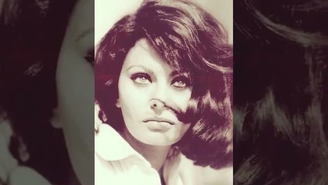 Sophia Loren fotos смотреть онлайн