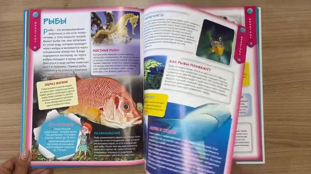 Детская энциклопедия для почемучек от 6 до 12 лет смотреть онлайн