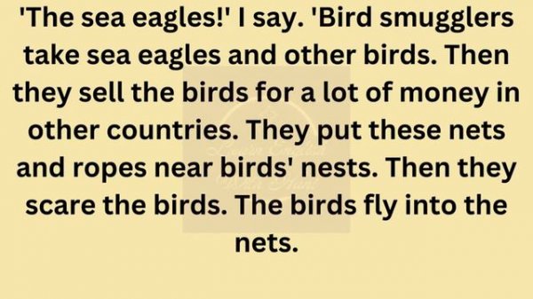 Learn English Through Stories || interesting story || Level 2 ||The Blue Moon Beach||