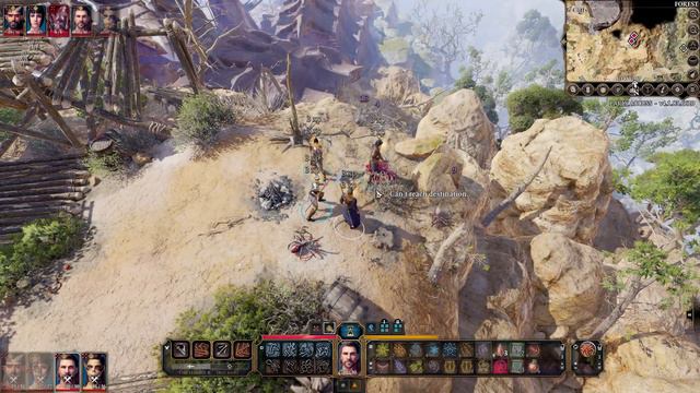How to get Spider Pets Baldur's Gate 3 Spider Egg Sac смотреть онлайн