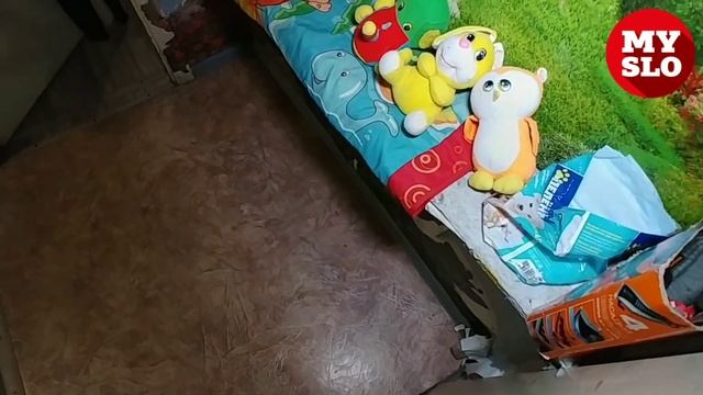 В квартире у туляков сами двигаются предметы смотреть онлайн