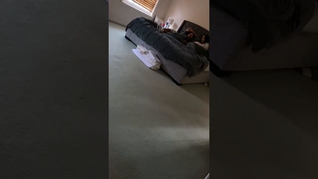 How to make someone have a Tantrum! смотреть онлайн