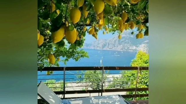 Кофе! Кофе с лимоном! Coffee! Coffee with lemon! смотреть онлайн