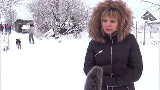 волк съел Алабая смотреть онлайн