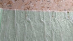 СЕЕМ СЕМЕНА В "УЛИТКУ". ЛУЧШИЙ СПОСОБ ДЛЯ ВЫРАЩИВАНИЯ РАССАДЫ.