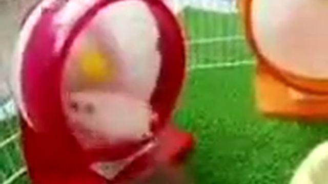 Crazy Hamster Wheel смотреть онлайн