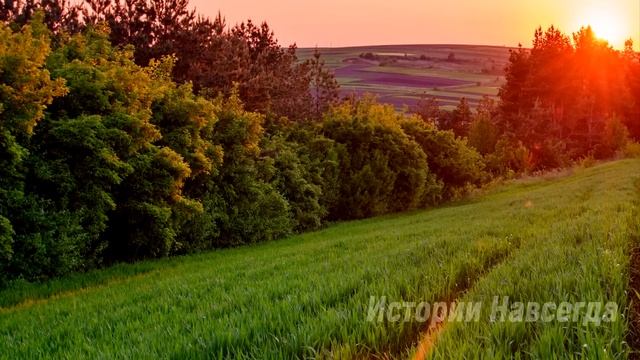 Вика купила старое пальто, а едва решив его примерить нашла в кармане записку... смотреть онлайн