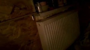 Как вызвать кролика исполняющего желания