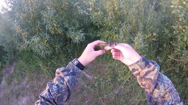 Рыбалка в Артинском районе 07.07.16 смотреть онлайн