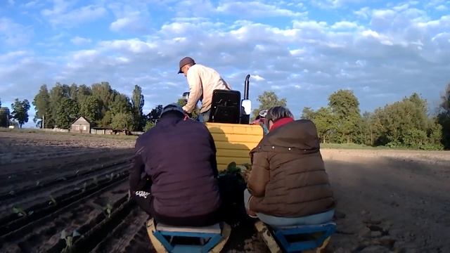 Высадка рассады капусты Кентавр Т-244 с самодельной рассадопосадочной машиной. Начало. смотреть онлайн