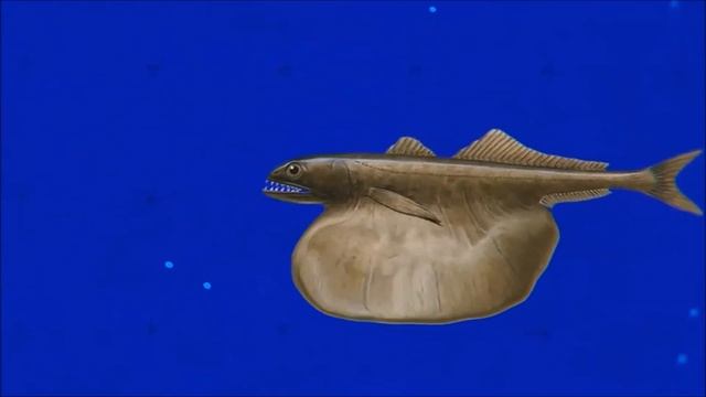 Чёрный Живоглот Ест только Тех, Кто Больше его. Из моей почты в Сети (22). смотреть онлайн