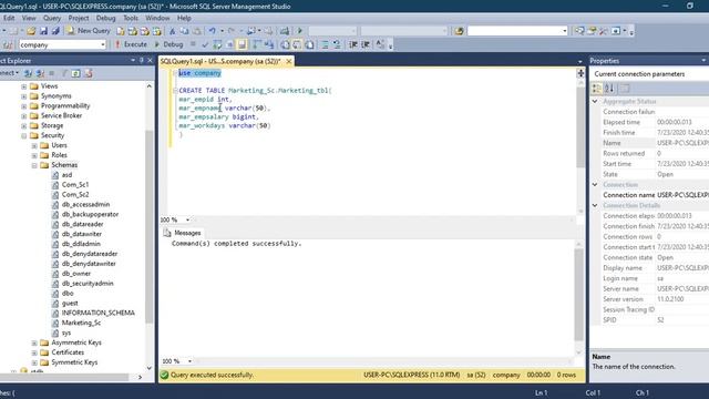 Creating and Building a Schema in SQL SERVER (URDU/HINDI) смотреть онлайн