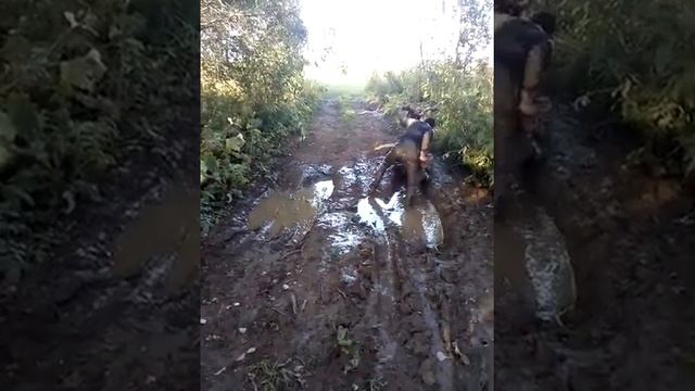 История про Лёшу и лужу. Часть 1 смотреть онлайн