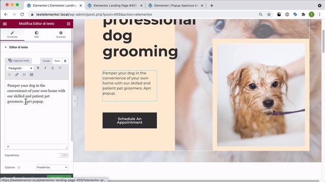 Popup con Elementor: come farli aprire con un click su un link смотреть онлайн